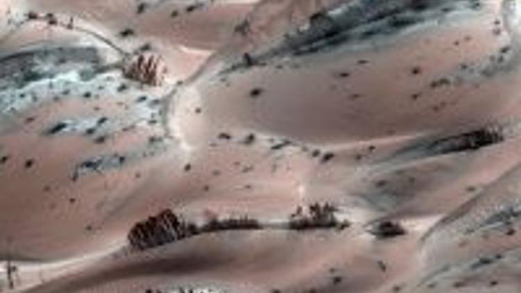 Mars'ta aÄŸaç bulundu