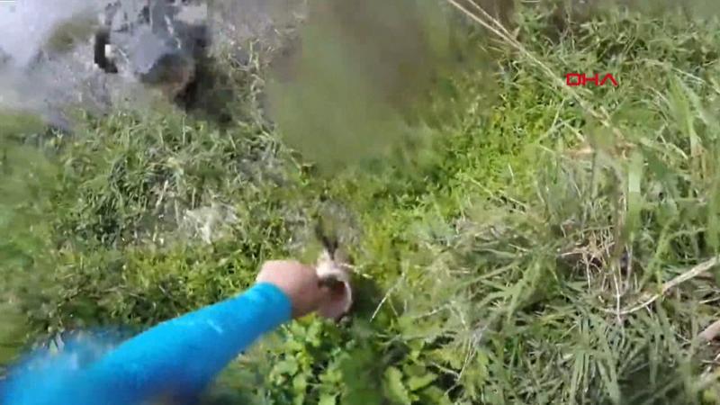 Avladığı balığı alırken az kalsın timsaha yem oluyordu