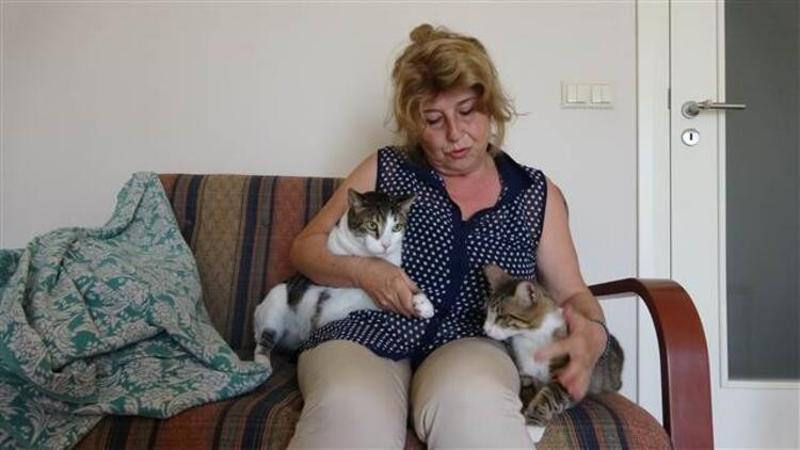 Komşusu mahkemeye verdi, engelli kedileriyle evinden ayrıldı