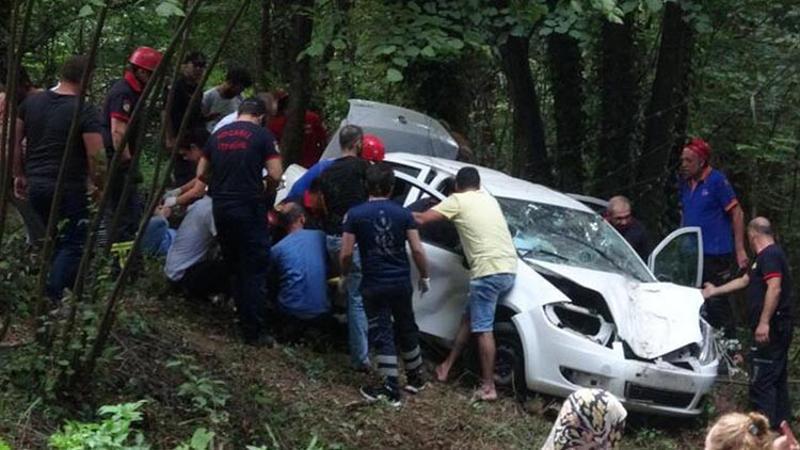 Otomobil ağaçlık alana devrildi